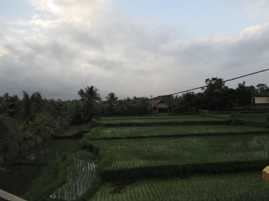 Ancut Sari Hotel Ubud  Exterior photo