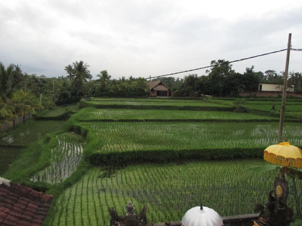 Ancut Sari Hotel Ubud  Exterior photo