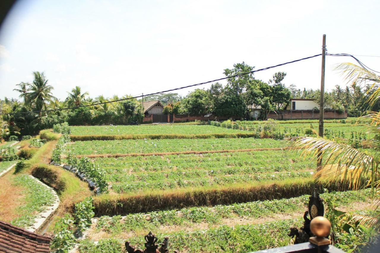 Ancut Sari Hotel Ubud  Exterior photo